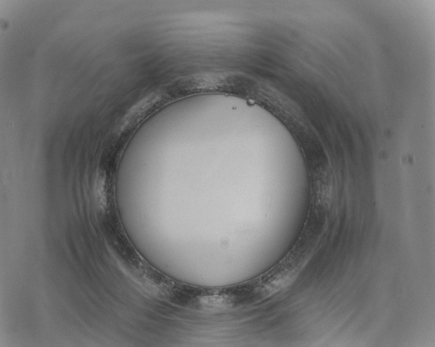 X0000070380216200606231720