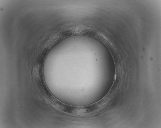 X0000070380217200606231720