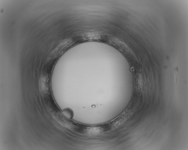 X0000070380218200606231720