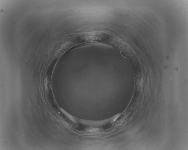 X0000070380219200606231720