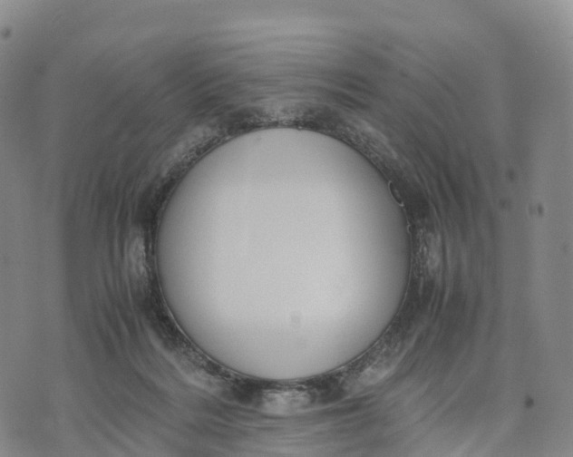 X0000070380220200606231720