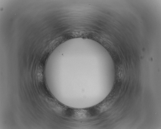 X0000070380226200606231720