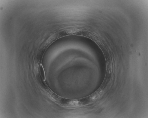 X0000070380227200606231720