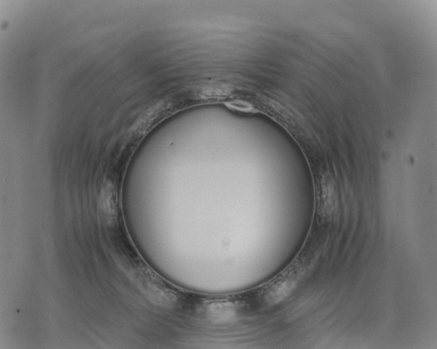 X0000070380228200606231720