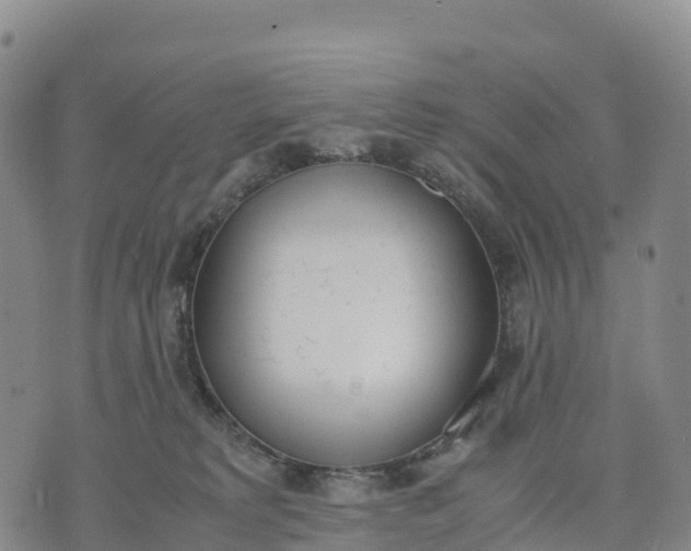 X0000070380229200606231720