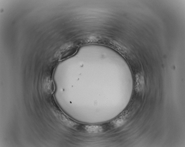 X0000070380230200606231720