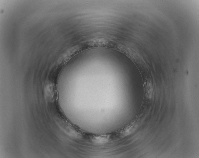 X0000070380232200606231720