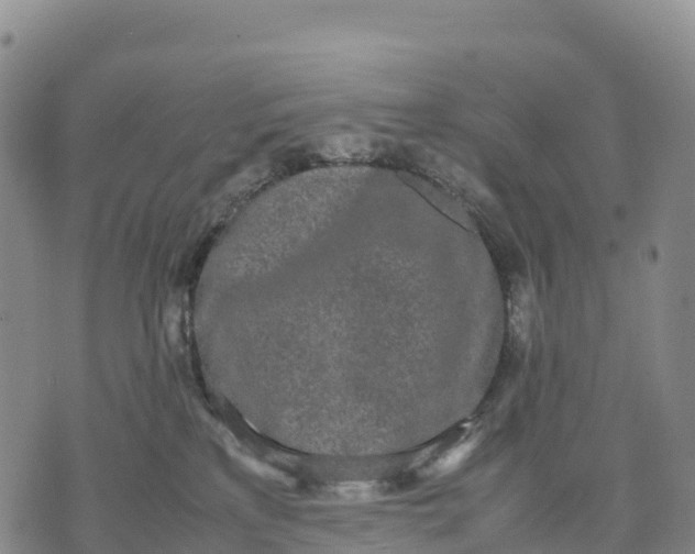 X0000070380233200606231720