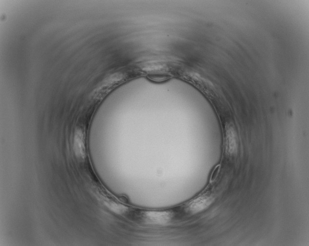 X0000070380234200606231720