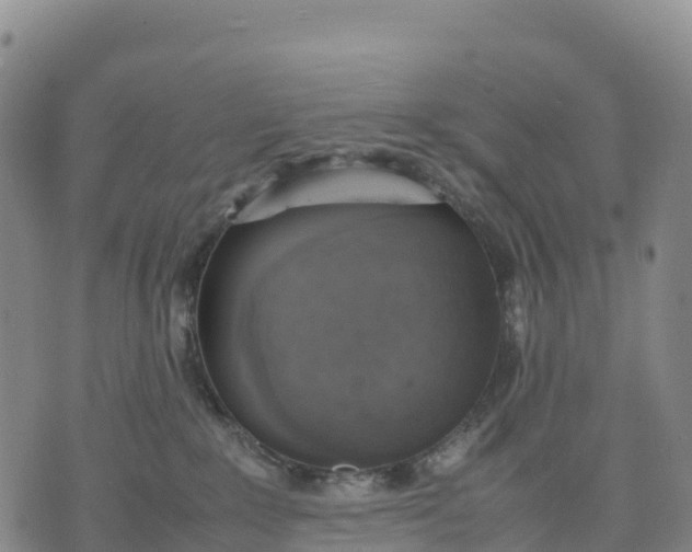 X0000070380235200606231720