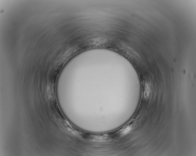 X0000070380236200606231720