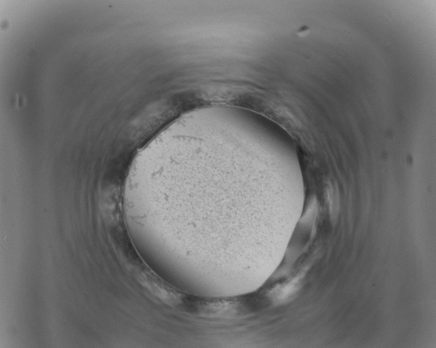 X0000070380237200606231720