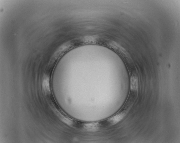 X0000070380238200606231720