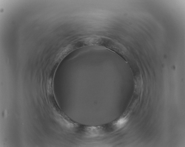 X0000070380239200606231720