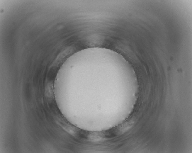 X0000070380240200606231720