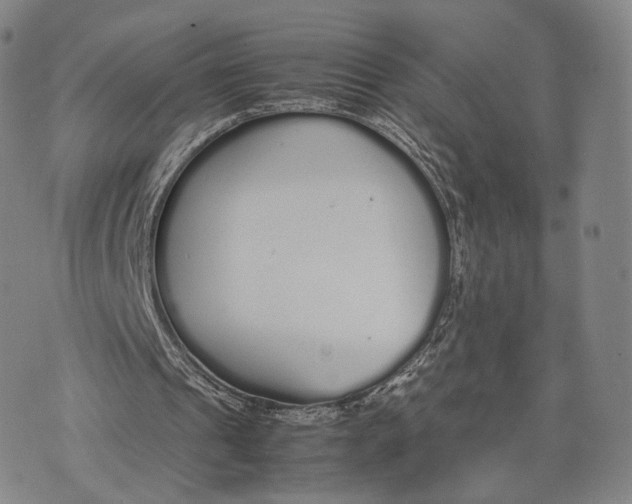 X0000070380241200606231719