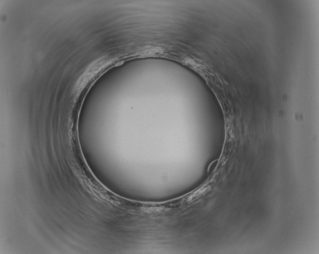 X0000070380242200606231719