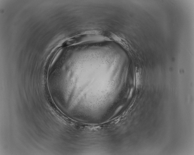 X0000070380243200606231719