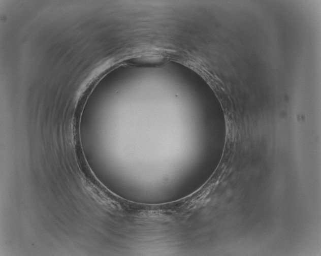 X0000070380244200606231719