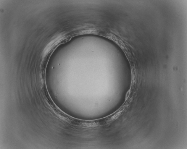 X0000070380245200606231719