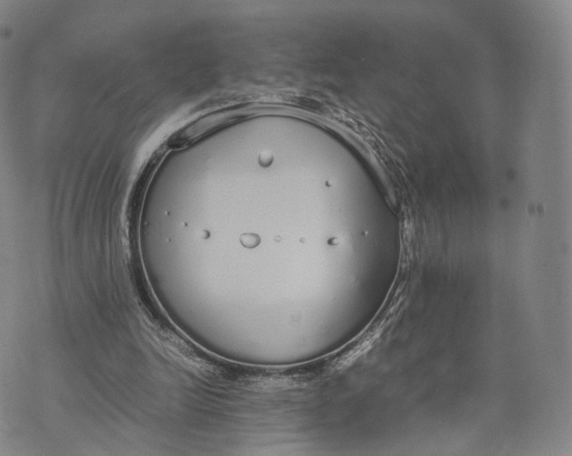 X0000070380246200606231719