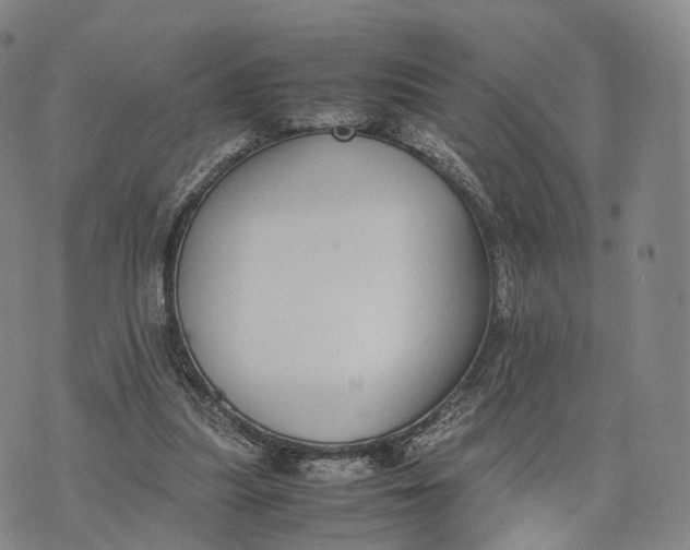 X0000070380251200606231719