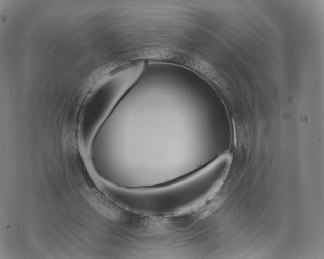 X0000070380252200606231719