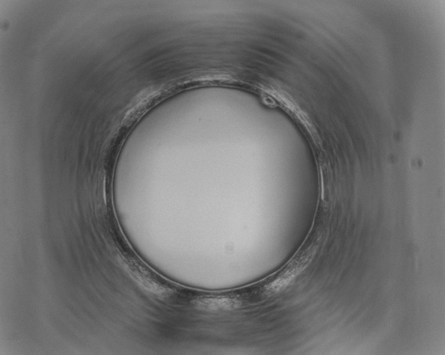 X0000070380253200606231719