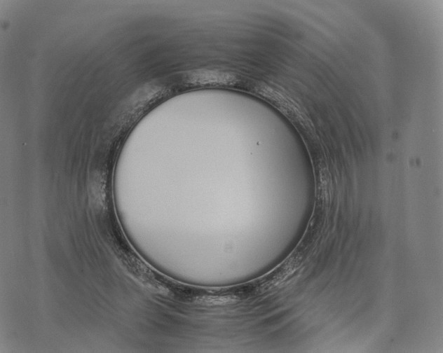 X0000070380255200606231719