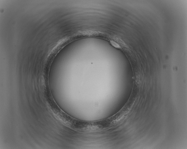 X0000070380256200606231719