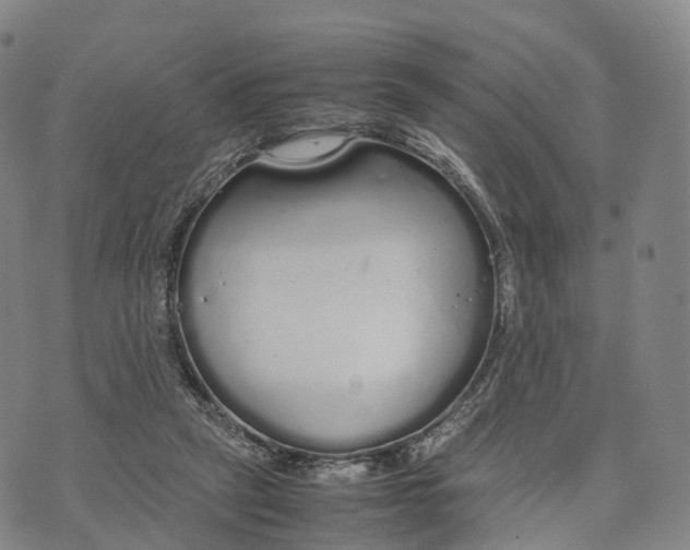 X0000070380257200606231720