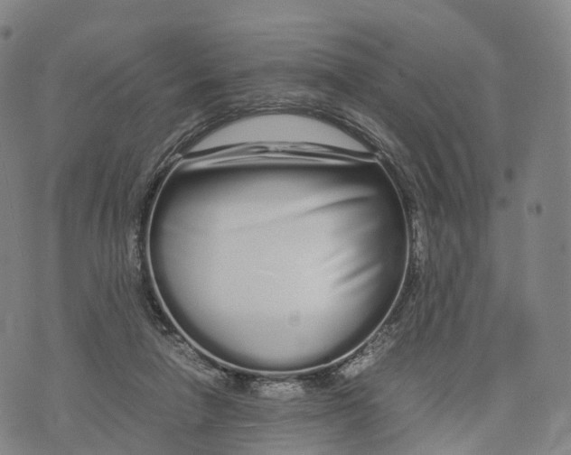 X0000070380258200606231720