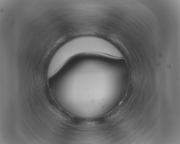 X0000070380260200606231720