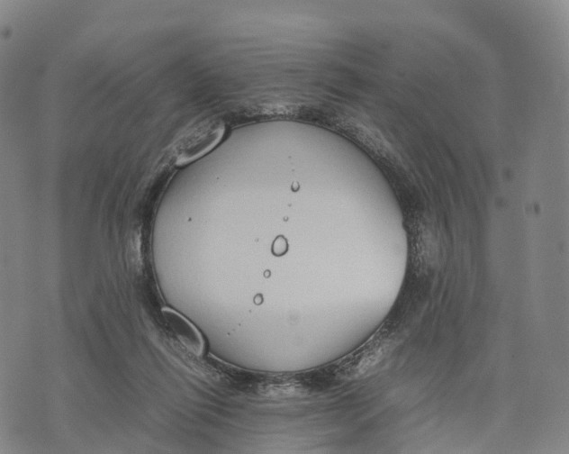 X0000070380262200606231720