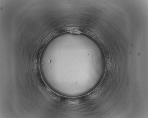 X0000070380263200606231720