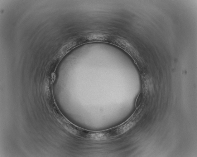 X0000070380265200606231720