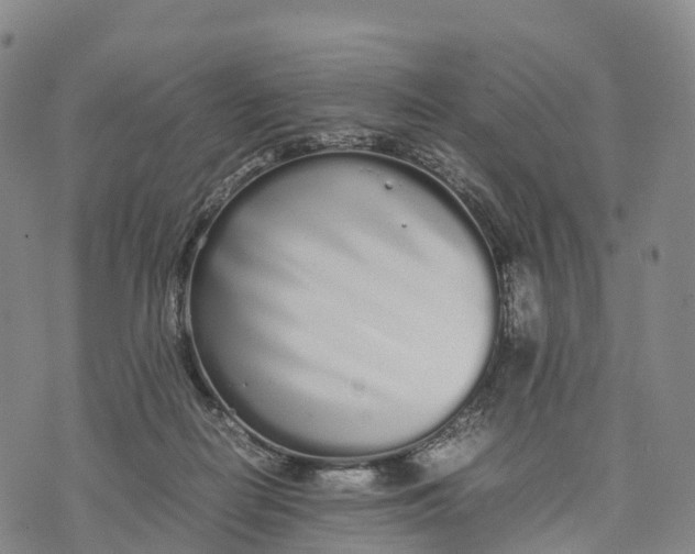 X0000070380266200606231720