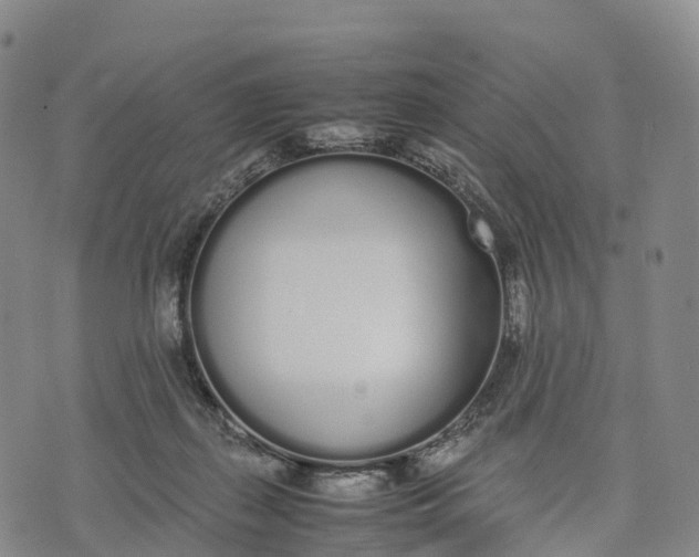 X0000070380267200606231720