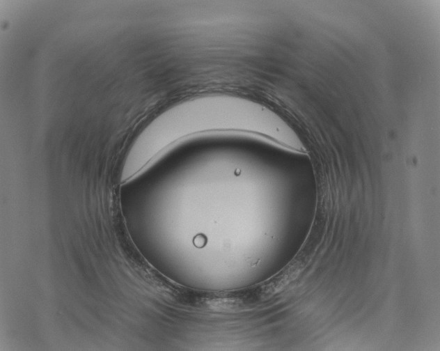 X0000070380268200606231720