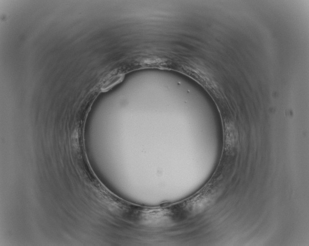 X0000070380269200606231720