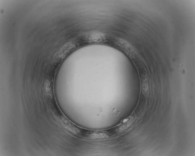 X0000070380270200606231720