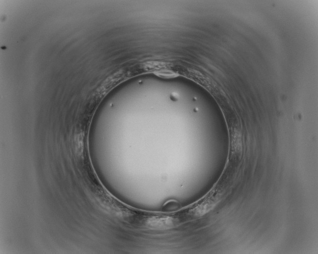 X0000070380271200606231720