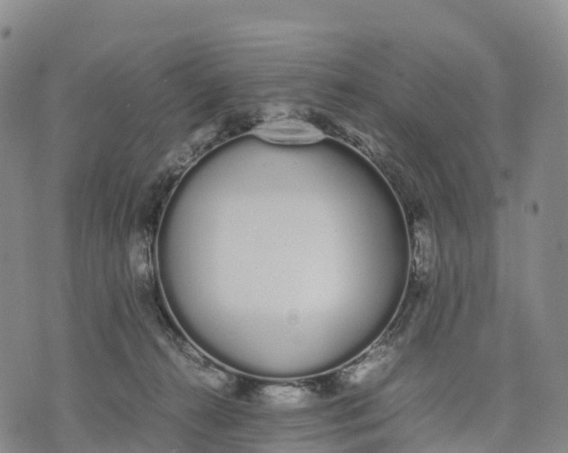 X0000070380272200606231720