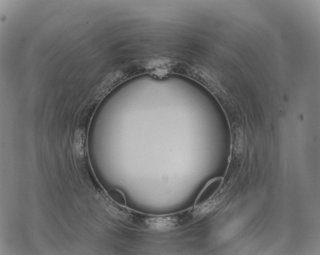 X0000070380273200606231720