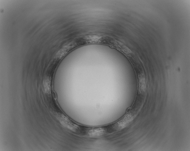 X0000070380274200606231720