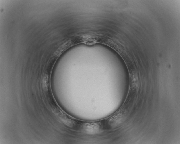 X0000070380275200606231720