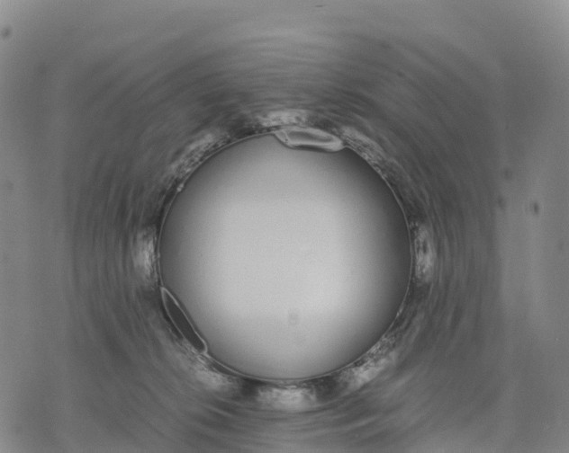 X0000070380276200606231720