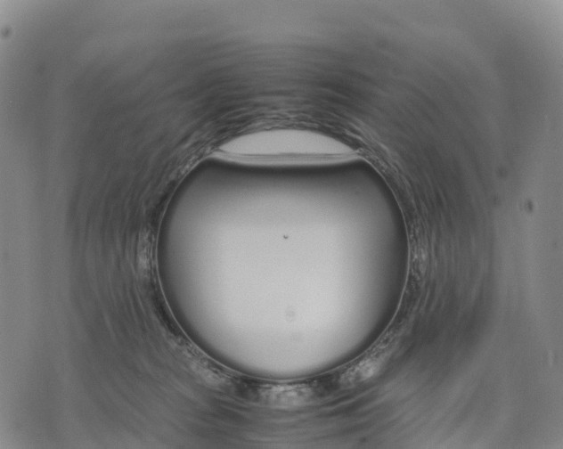 X0000070380277200606231720