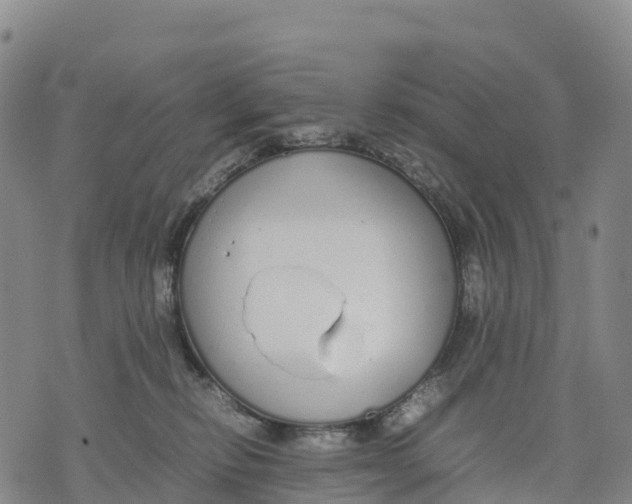 X0000070380278200606231720