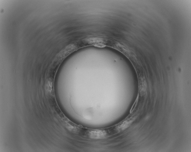 X0000070380281200606231720